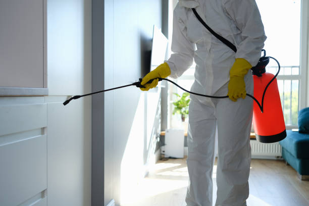 Best Commercial Mold Removal  in Pemberville, OH